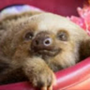 Meet your Posher, Bianca